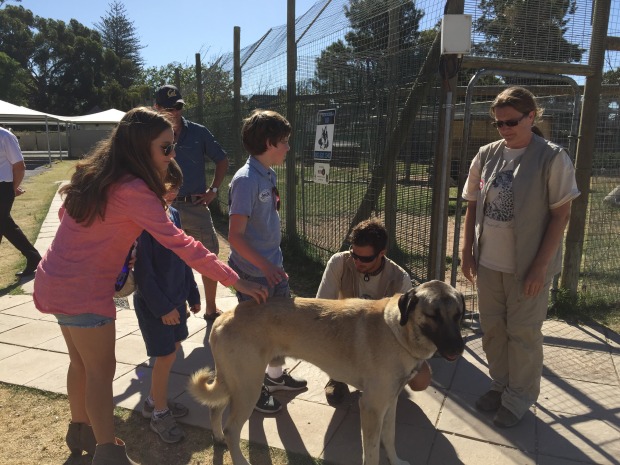 Kids with Dog