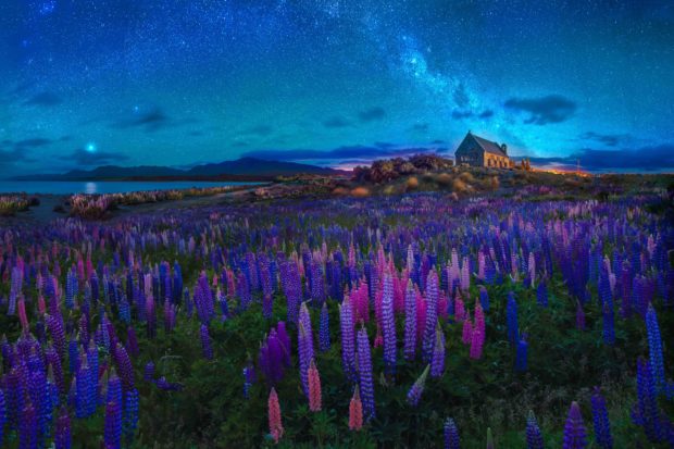 Lake Tekapo