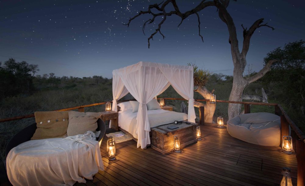 chalkley-tree-house-lion-world-travel