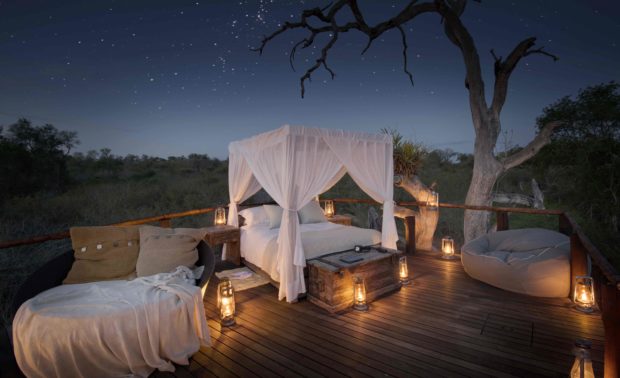 chalkley-tree-house-lion-world-travel