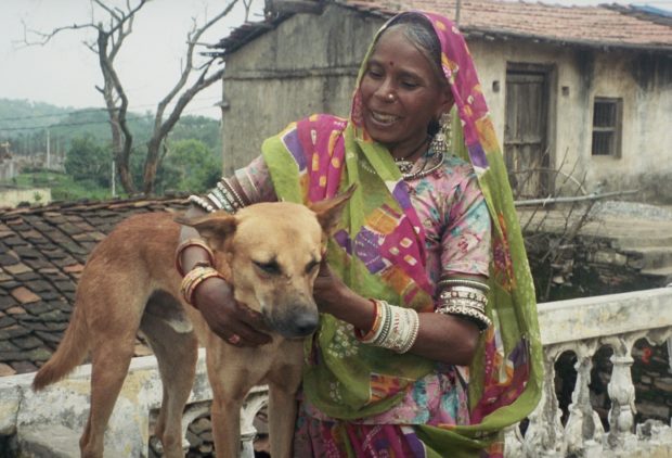 india-dog