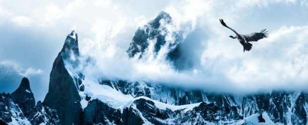 Patagonia-TTC-Top-10